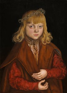 Ein Prinz von Sachsen, ca. 1517 von Lucas the Elder Cranach