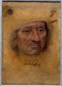 Porträt von Doktor Petrus von Clapis von Lucas the Elder Cranach