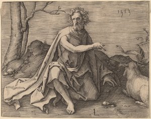 Johannes der Täufer in der Wüste von Lucas van Leyden