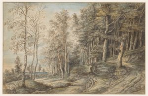 Waldlandschaft