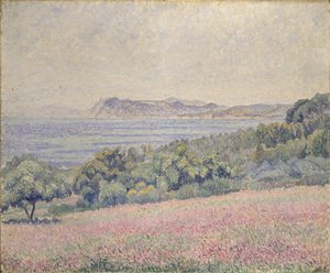 Disteln, Le Brusq, 1925 von Lucien Pissarro