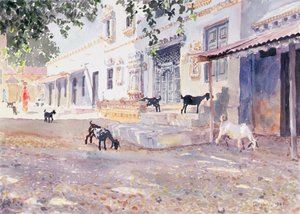 Indische Ziegen von Lucy Willis