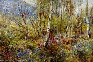 Waldlandschaft
