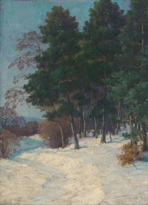 Wald im Winter