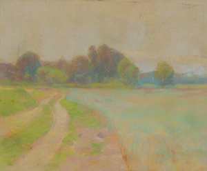 Straße an einem Feld