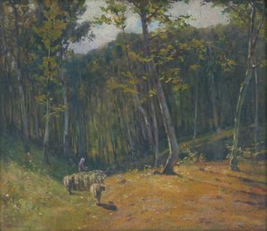 Schafe im Wald von Ludovit Cordak