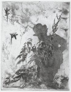 Das kontemplative Leben von Luigi Conconi