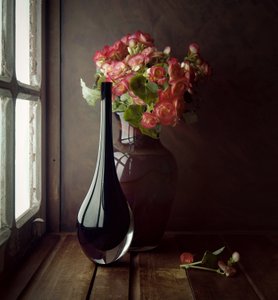 Rosa Blumen Fensterlicht