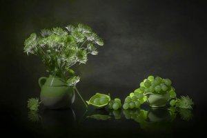 Elegantes grünes Stillleben