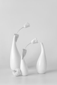  von Lydia Jacobs