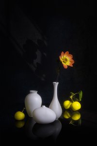  von Lydia Jacobs
