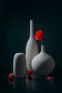  von Lydia Jacobs