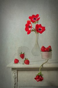  von Lydia Jacobs