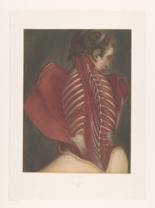 Anatomische Darstellung des Rückens von M.D. Duplain