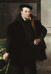 Porträt eines Gentlemans, Dreiviertellänge, in einem schwarzen Mantel mit Pelzfutter, 1551 von Maarten de Vos