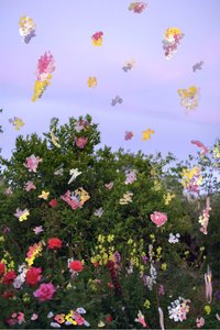 Abstrahierte Blumen