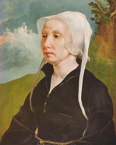 Porträt einer Frau von Maerten van Heemskerck