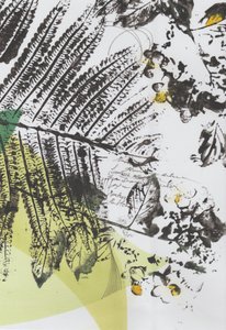 Botanische Schriftebenen