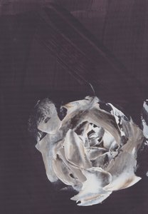 Dunkle Abstrakte Rose von Maira Ribena