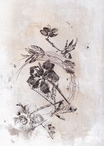 Sepia Botanischer Fluss
