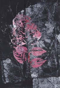 Texturierte rosa Blüte