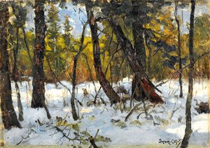 Wald im Winter