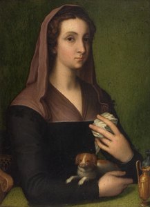 Porträt einer Dame von Marcello (follower of) Venusti