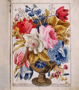 Illumination aus der "Bolla della Agregazione auta dalla Venerabile Archiconfraternita di San Rocco in Rom