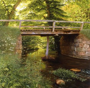 Ein Waldstrom mit einer Holzbrücke von Marcus Bech Fritz