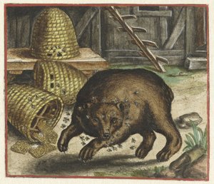 Fabel vom Bären und den Bienen von Marcus Gheeraerts (I)