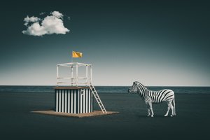 Surrealer Strandzebra
