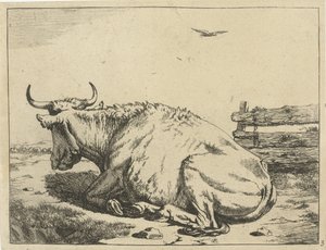 Kuh liegend am Zaun von Marcus de Bye