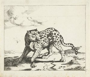 Leopard, nach links stehend, Kopf nach rechts von Marcus de Bye