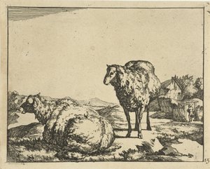 Stehendes und liegendes Schaf mit Bauernhof im Hintergrund