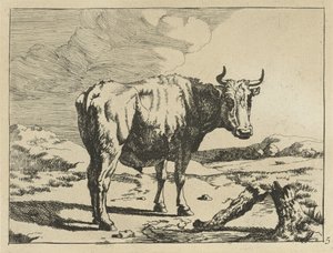 Stier stehend bei einem Baumstumpf
