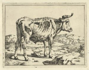 Stier steht bei einem Felsen von Marcus de Bye