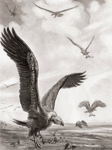 Geier tragen die Glieder der im Kampf Gefallenen davon, aus Hutchinsons Geschichte der Nationen, veröffentlicht 1915 von Margaret (after) Dovaston