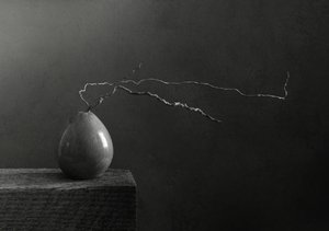 Monochrome Birne und Zweig