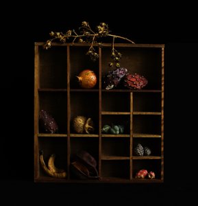Rustikales botanisches Stillleben