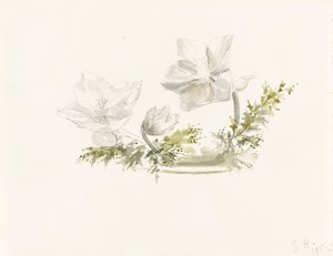 Studie eines Blumenarrangements