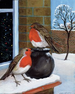 Rotkehlchen im Schnee