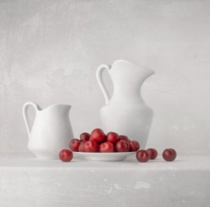 Frische Pflaumen und Krüge von Margareth Perfoncio