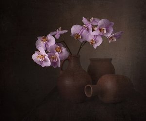 Lila Orchidee Stillleben von Margareth Perfoncio