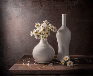 Weiße Gänseblümchen-Stillleben von Margareth Perfoncio