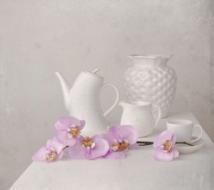 Weißes Orchideen-Stillleben von Margareth Perfoncio