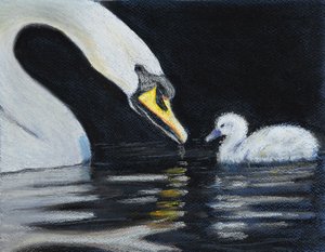 Folge Mama