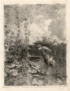 Der Botaniker von Marià Fortuny Marsal