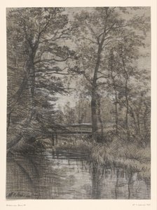 Teich im Wald