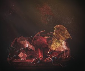 Stimmungsvolle Herbstblätter
