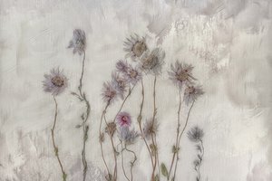 Weiche Pastellblumen